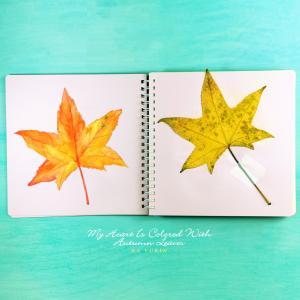 Album My Heart Is Colored With Autumn Leaves oleh Ka Yurin