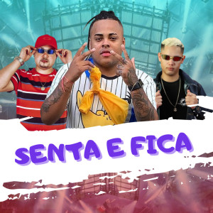 Listen to Senta e Fica (Explicit) song with lyrics from DJ Juninho da Vs