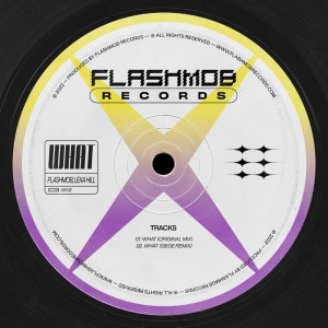 Album What (Siege Remix) oleh Flashmob