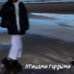 Album Птицами гордыми from 