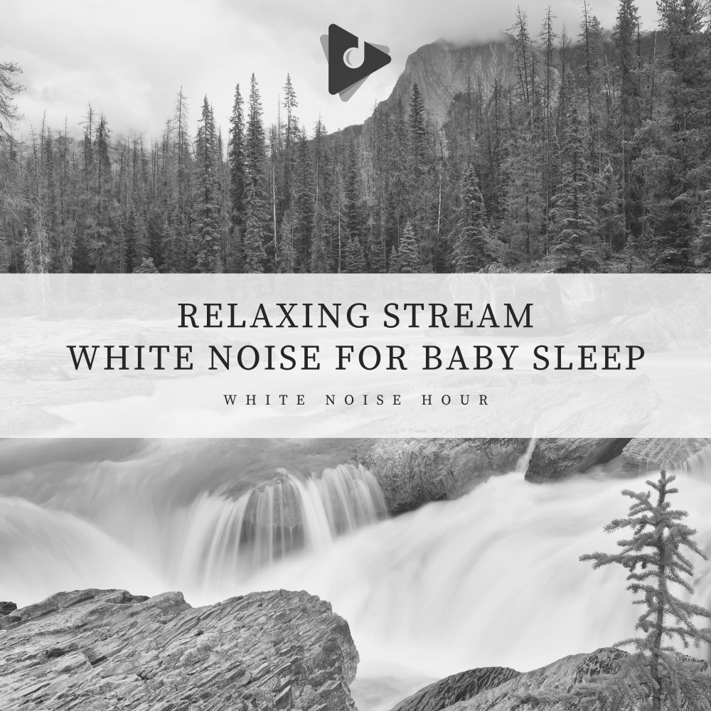 Ambient Forest Sounds White Noise