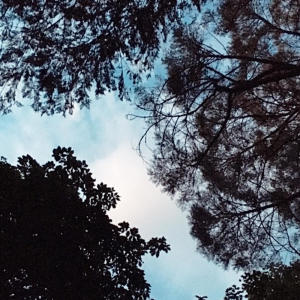 ดาวน์โหลดและฟังเพลง Faoin Tuath (feat. Madelyn Monaghan) พร้อมเนื้อเพลงจาก Froman