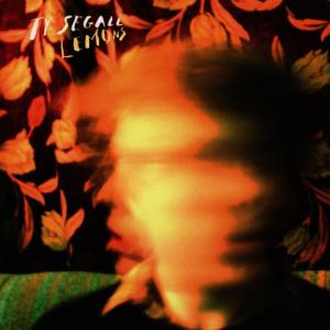 ดาวน์โหลดและฟังเพลง Can't Talk พร้อมเนื้อเพลงจาก Ty Segall