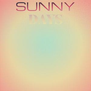 Album Sunny Days oleh Silvia Natiello-Spiller