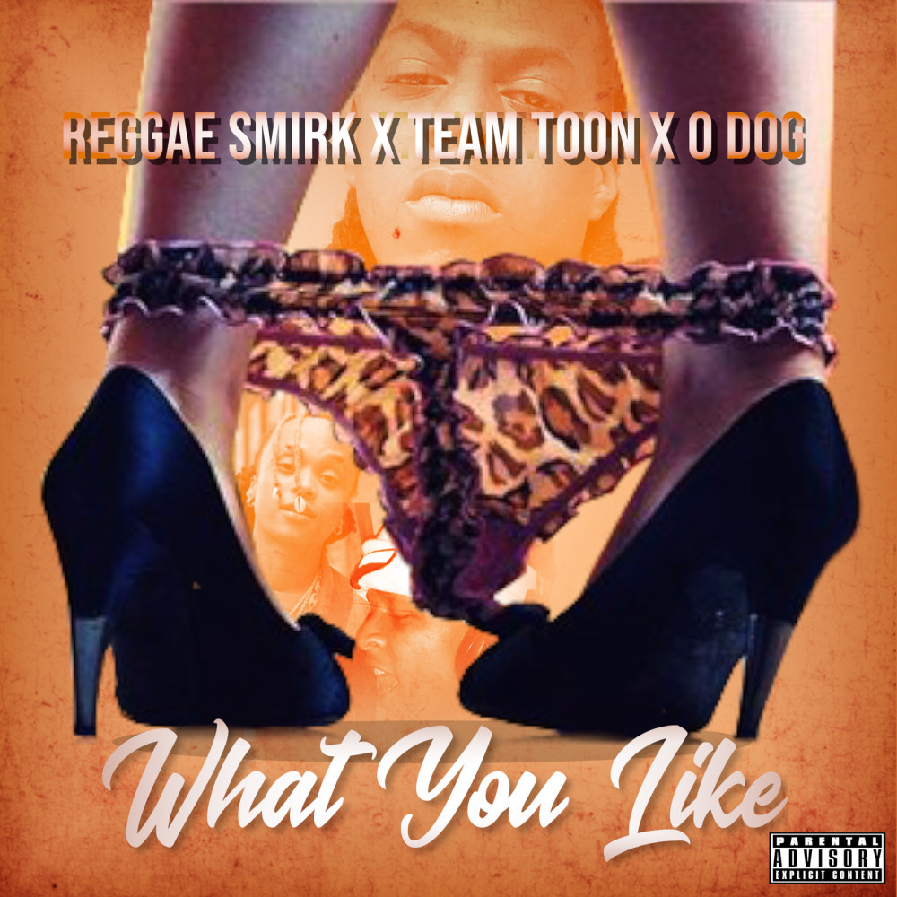 What You Like (Explicit)