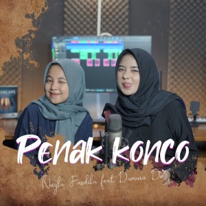 收听Nayla Fardila的Penak Konco歌词歌曲