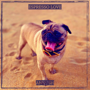 Listen to Espresso Love song with lyrics from Ankush
