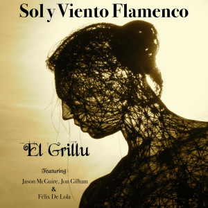 อัลบัม Sol y Viento Flamenco (feat. Felix De Lola & Jon Gilham) ศิลปิน Jason McGuire