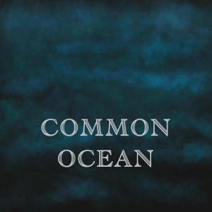 อัลบัม Common Ocean (Live at Salford) ศิลปิน Ed Thomas