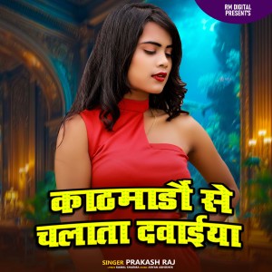 Listen to Kathamandu Se chalata Dawaiya song with lyrics from Prakash Raj