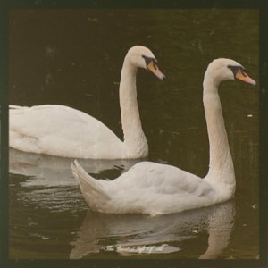 Listen to The Greatest Gift of All song with lyrics from Lee Greenwood