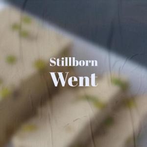 Listen to Whosoever Trounced song with lyrics from Shard Nerry