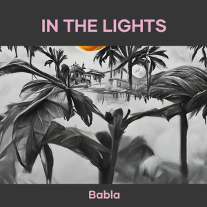 Album In the Lights from Babla