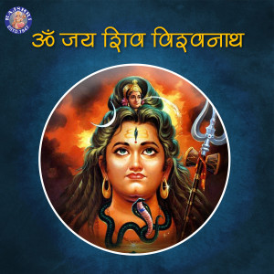 收聽Vighnesh Ghanapaathi的Om Namah Shivaya歌詞歌曲