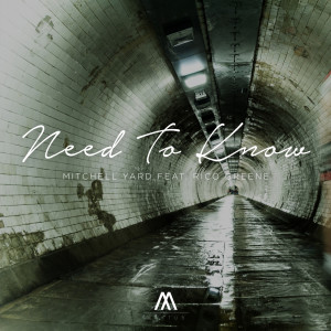 Mitchell Yard的专辑Need To Know