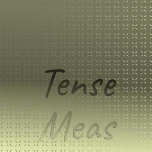 Various的专辑Tense Meas