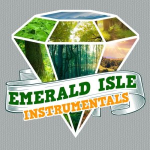 Irish Music的專輯Emerald Isle Instrumentals