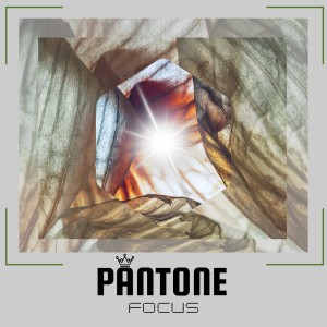 Album Focus from Pantone