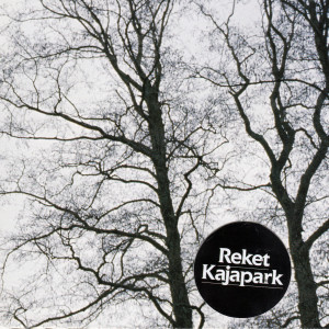 Listen to Üks song with lyrics from Reket