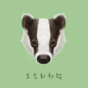 미식가요的专辑오소리처럼