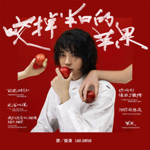 收听廖俊涛的你听那像极了爱情歌词歌曲