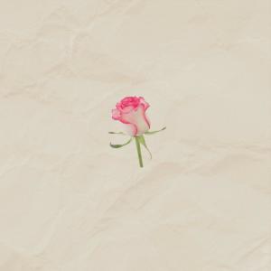 收聽Faime的Roses歌詞歌曲
