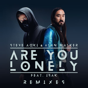 Dengarkan Are You Lonely (Steve Aoki Remix) lagu dari Steve Aoki dengan lirik