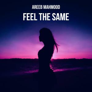 收听Areeb Mahmood的Feel The Same歌词歌曲
