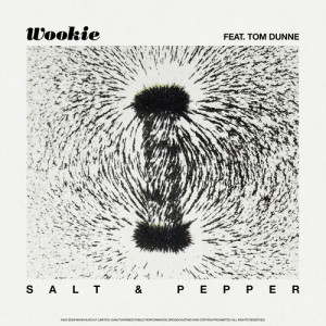 Wookie的專輯Salt & Pepper