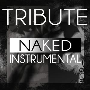 ดาวน์โหลดและฟังเพลง Naked (Dev & Enrique Iglesias Tribute) (其他|Dev & Enrique Iglesias Instrumental Tribute) พร้อมเนื้อเพลงจาก The Beautiful People