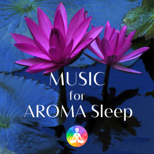 อัลบัม Music For Deep Sleep AROMA 528Hz Miracle Tone ศิลปิน Sleep Music Laboratory