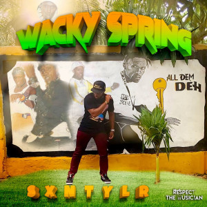 收聽SXNTYLR的WACKY SPRING (SPED UP)歌詞歌曲