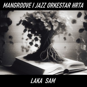 Mangroove的專輯Laka sam (Radio Edit)