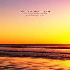 Album A faint emotional piano collection that heals me from Various Artists