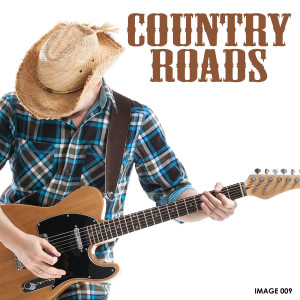 Various Artists的专辑Country Roads