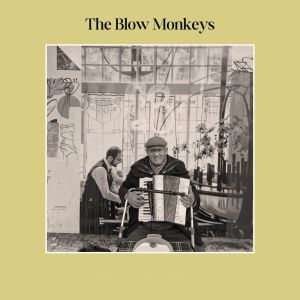 The Blow Monkeys的專輯King Of Everything