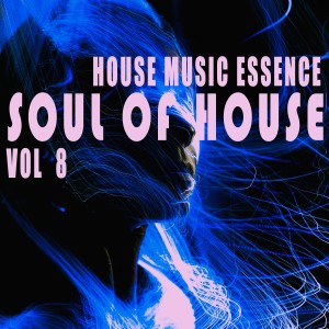 Various Artists的專輯Soul of House, Vol. 8