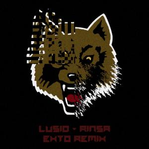 ดาวน์โหลดและฟังเพลง Rinsa (Ekto Remix) พร้อมเนื้อเพลงจาก Lusid