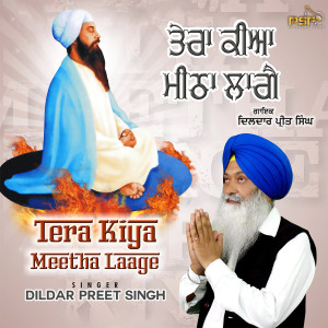 Listen to Tera Kiya Meetha Laage song with lyrics from Dildar Preet Singh