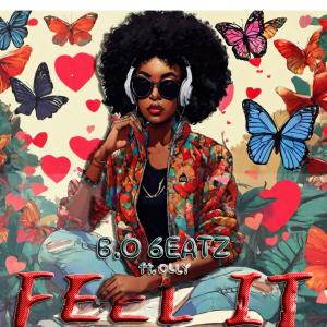 Album Feel it from B.O 6eatz