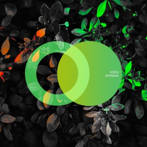 收聽Vesca的Cacyreus歌詞歌曲