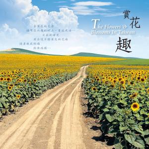 收听杨千霈的忘忧坡上忘忧花: 花东 金针山歌词歌曲