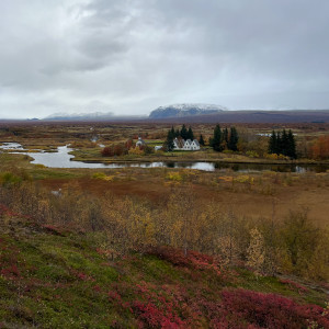 Listen to Green Grass (Cover) song with lyrics from Ioanna