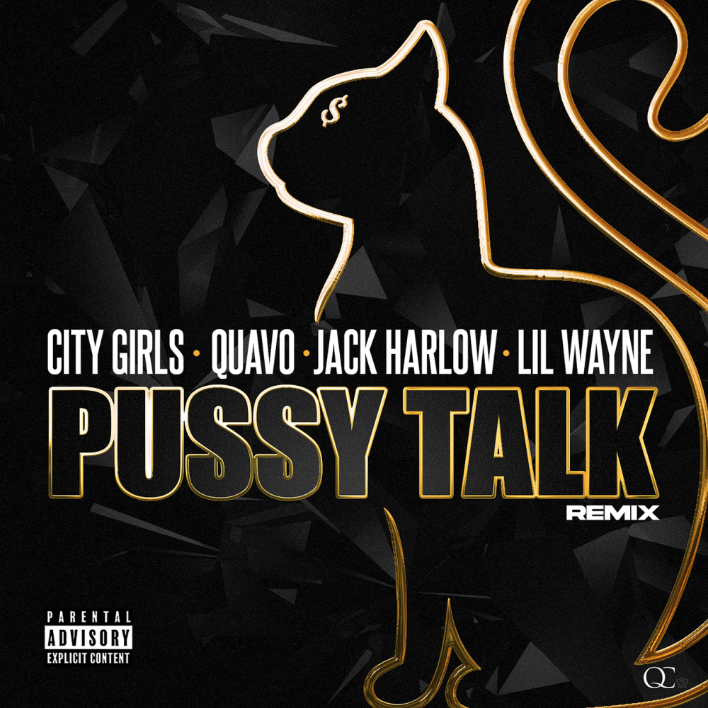 Pussy Talk (Remix) (Remix|Explicit)