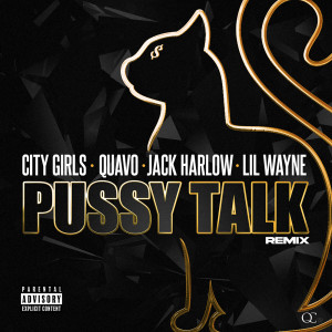 ดาวน์โหลดและฟังเพลง Pussy Talk (Remix) (Remix|Explicit) พร้อมเนื้อเพลงจาก City Girls