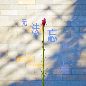 ดาวน์โหลดและฟังเพลง 无法忘记 พร้อมเนื้อเพลงจาก 王柏鸿