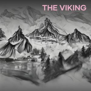 Mr. C的專輯The Viking (Acoustic)