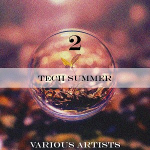 Album Tech Summer 2 from Various Artists