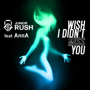 收听Junior Rush的Wish I Didn't Miss You (Radio Edit)歌词歌曲