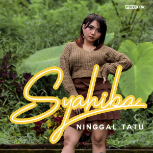 Dengarkan lagu Ninggal Tatu nyanyian Syahiba dengan lirik